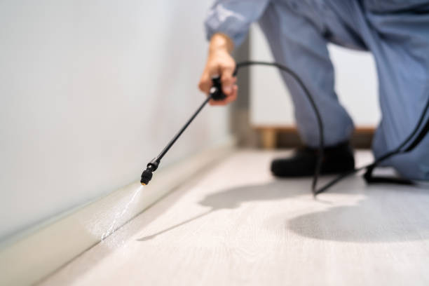Licensed Mosquito Control service in Hampton, AR - Show Me Pest Control